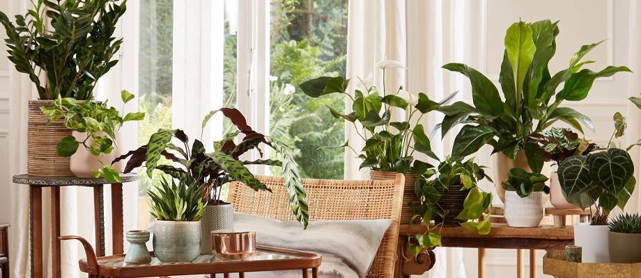 Plantas artificiales realistas: Una alternativa natural a la decoración, con tips de compra y cuidado
